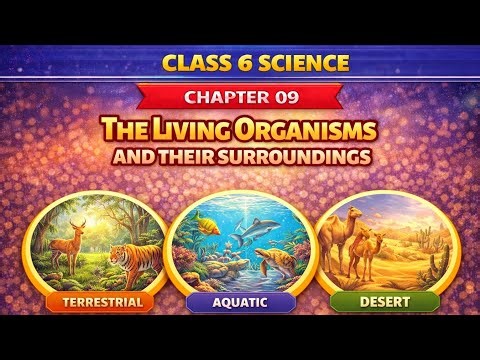 📘 NCERT Class 6 Science | Chapter 9 – The Living Organisms and Their Surroundings 🌱🐾