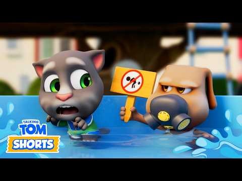 💦 Breaking the Pool Rules | Talking Tom Shorts | Cartoons for Kids