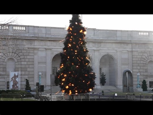 Cai Guo-Qiang Makes a 40-Foot-Tall Pine Tree Explode