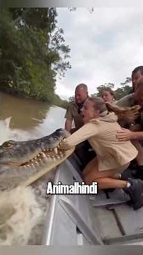Most Surprising animal moments #hindi #animals #wildliferescue