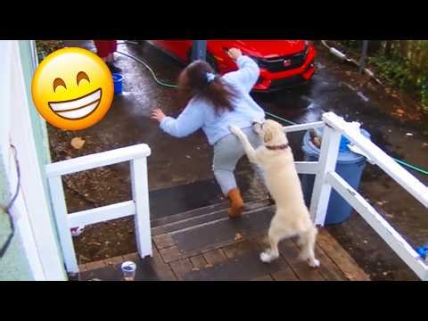 Funniest Animal Videos 2026 😂 The Internet’s Most Unpredictable Animals