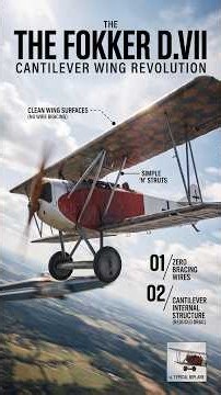 Why the Allies Demanded Every Fokker D.VII
