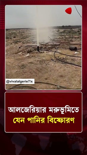 আলজেরিয়ার মরুভূমিতে যেন পানির বিস্ফো/রণ | Protidiner Bangladesh
