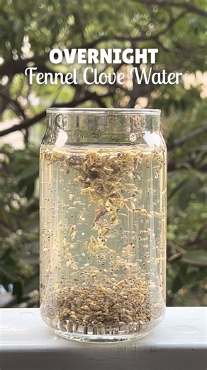 Chitwan Garg | Fitness & Nutrition on Instagram: "Comment “GLOW” to receive my complete guide on 20+ skin glow recipes 🍹✨ ✨Overnight Fennel–Chia Water✨ Ingredients: 🌿 Fennel seeds – 1 tbsp 🌿 Chia seeds – 1 tbsp 🍀 Clove – 3 🍋 Juice of ½ lemon 🍯 Honey – ½ tbsp Benefits✨ -Reduces bloating & gut inflammation -Deep hydration for glow -Supports acne control -Improves digestion -Antioxidant & anti-ageing support -Natural glow without sugar spikes Drink this every morning for visible results SAVE 