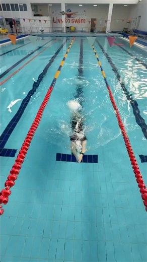 Breaststroke Arm Drill With Dolphin Kick | Technique Upgrade#swimming #explore #sports