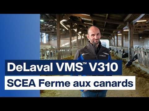 🎥 Témoignage éleveur – Robot de traite DeLaval VMS™ & module RePro