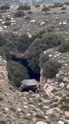 ALIENS ARE TRUE. DISTURBING VIDEOS OF ALIENS