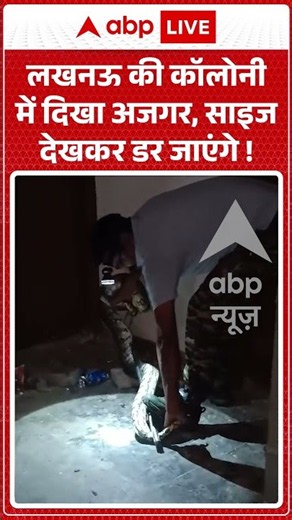 Python Rescue : लखनऊ की कॉलोनी में दिखा अजगर, साइज देखकर डर जाएंगे ! | #python #lucknow #wildlife