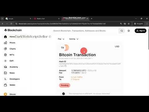 Blockchain Unconfirmed Transaction script 2026