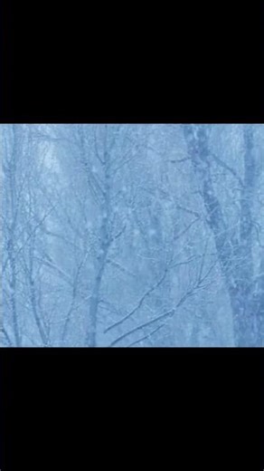 #winter #originalcomposition #musicvideo #strings #oboe #life #holiday #christmas #impressionism