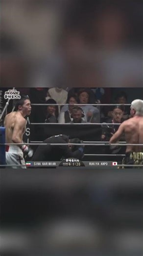 Fighters Attacking Referees