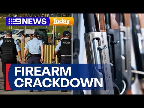 Multiple weapons seized in NSW Police firearm crackdown | 9 News Australia
