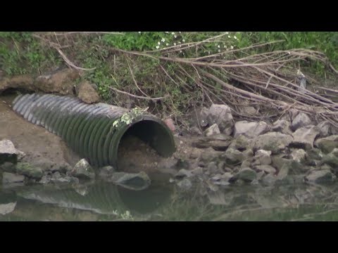 Bodies in the Bayou: Families left with questions after two more bodies found in Houston bayous