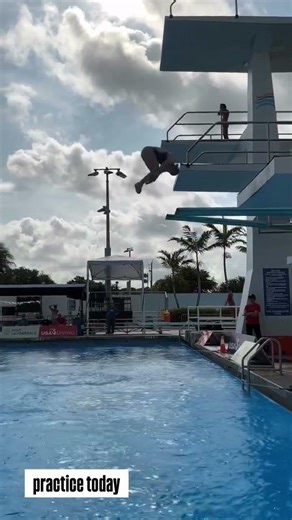 Every Springboard Dive Ranked From Beginner To Impossible