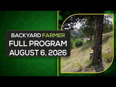 Backyard Farmer August 6, 2026 | Lawn Aeration Tips for Fall + Wildfire-Safe Trees