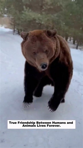 Proof That Animals Never Forget Those Who Saved Them.