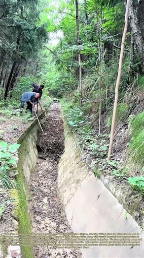 Clearing Floating Debris: Removing Dry Leaves to Maintain Unobstructed Water Channels