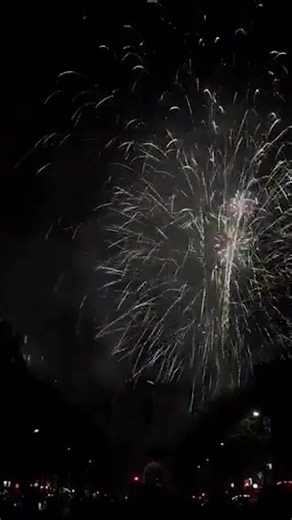 Happy New Year! Here's your compilation of the top 5 New Year's Eve celebration around the world. | New York Post