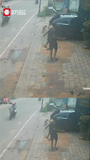 കൊല്ലം പടപ്പനാലിൽ തെരുവ് നായയുടെ ആക്രമണം | KOLLAM | DOG ATTACK