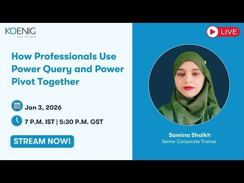 How Professionals Use Power Query and Power Pivot Together