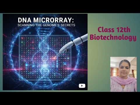 DNA microarray explained in a simplified way I Gene chip I DNA Chip I Class 12 Biotechnology CBSE