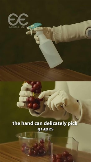 The Future of Robotics Is Already Here