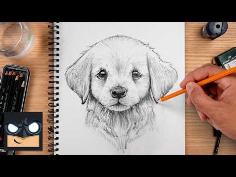 How to Draw a Golden Lab Puppy | Easy Dog Sketch Tutorial