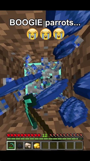 Parrot 🤣🤣🤣 #minecraft