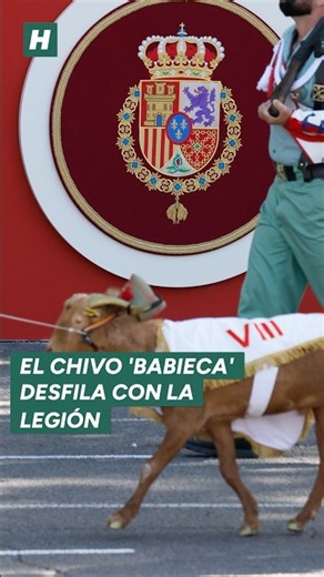 El chivo de la Legión, Babieca