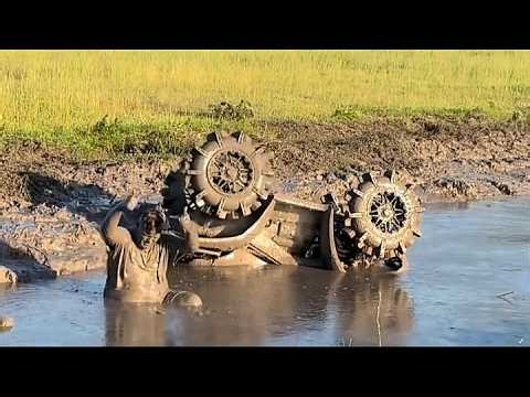 ​TRY NOT TO LAUGH! - Ultimate Fail & Funny Moments 2026 |