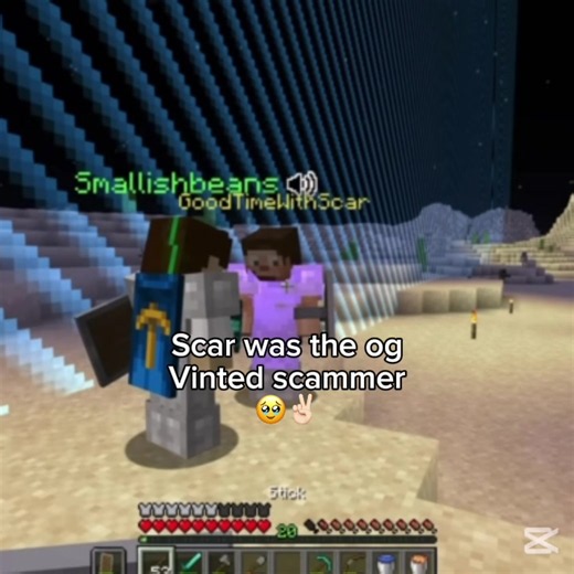 Hermitcraft LifeSeries reputation points explained