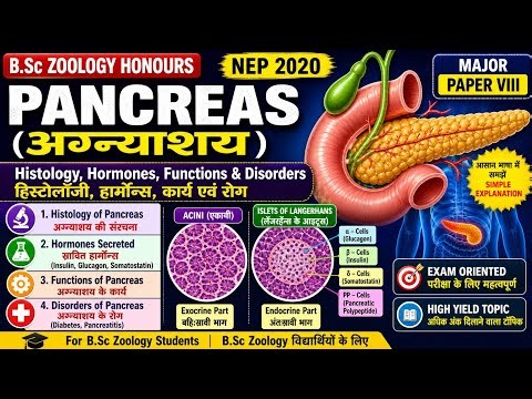 Pancreas: Histology, Hormones, Functions & Disorders | B.Sc Zoology Hons | NEP 2020