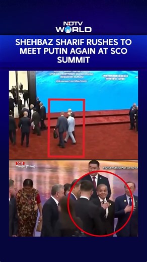 After 2025, Pak PM Shehbaz Sharif Again Rushes To Meet Putin At SCO Summit
