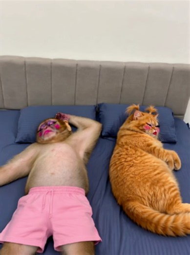 POV: When your fat besty wants to cuddle while sleeping, you HAVE to let her… 😭😂 But ignoring her will make THIS happen! 💀😂,Mention your fat besty 😂🐷#trending #FUNNYVIDEOS #AIVIDEOS #fypシ゚viral