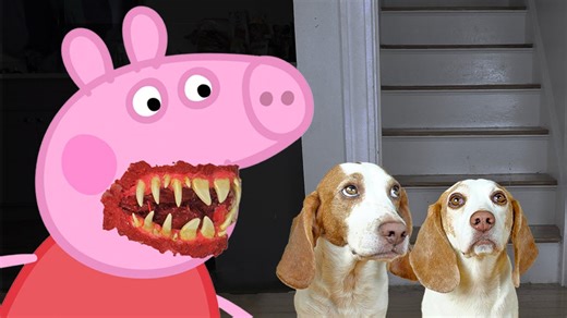 Brave beagles face off against evil Peppa Pig in real life