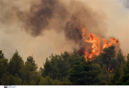Σε ισχύ από σήμερα ο Ημερήσιος Χάρτης Πρόβλεψης Κινδύνου Πυρκαγιάς - ΤΑ ΝΕΑ