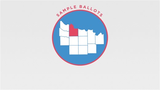 Texoma's official voting guide for May 2026 local elections