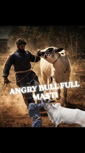 Angry Bull Full Masti 16 #eiduladha #angry #eidulazha #masti #shortfeed #comedyeffect #fyp #fypviral