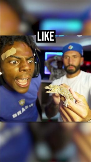 IShowSpeed Lost His Mind Holding A Tokay Gecko 😭🦎
