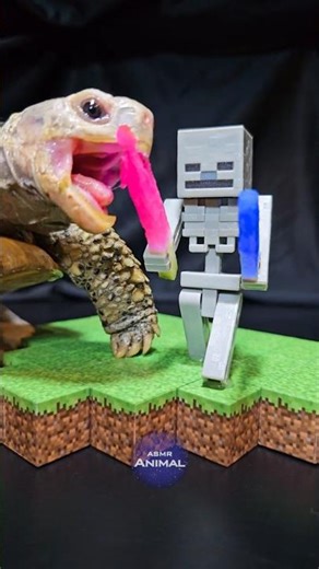 Minecraft ASMR Mukbang Eating Skeleton's Pink Sword 🗡️