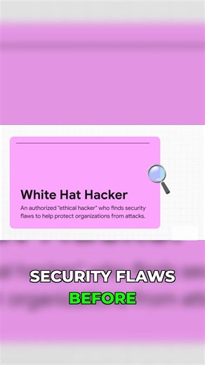 White Hat Hackers: Who Protects Us Online?
