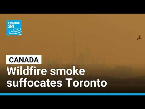 Toronto suffocates as wildfire smoke and heatwave choke city • FRANCE 24 English