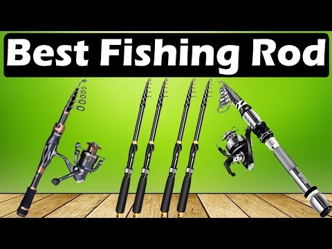 TOP 5 Best Fishing Rods 2026 - Power, Sensitivity & Value