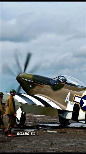 1940s Fighter Plane That Dominated WWII Skies | Untold Story