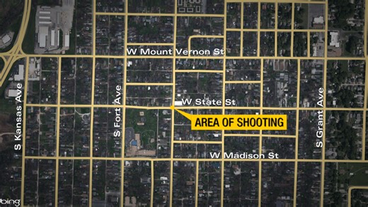 Springfield shooting: One hospitalized, one arrested