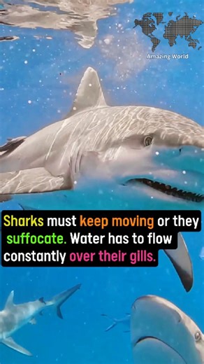 #Facts #knowledge #science | Amazing World