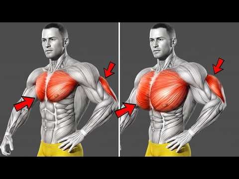Chest & Triceps Not Growing? 6 Exercises for Bigger, Thicker Muscle