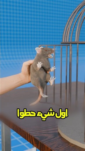 المشكل فالبيئة مو فالمخدرات 😱 #shortvideo