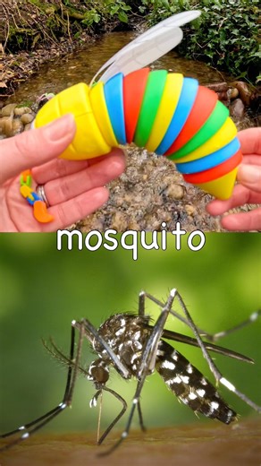 Bug Insect Names | Kids Learn at the Waterfall: Butterfly Mosquito Ant Bee Fly