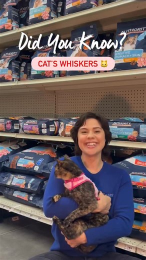 PetSmart on Instagram: "Cat’s whiskers = built in measuring tape, but fluffier 🐱 #PetSmartDidYouKnow #AnythingForPets #PetSmart #FunFacts"